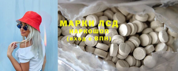 крисы Вязьма