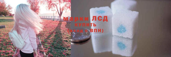 крисы Вязьма