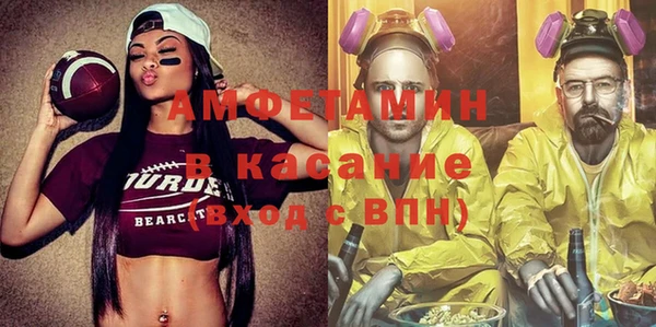 гидра Вяземский