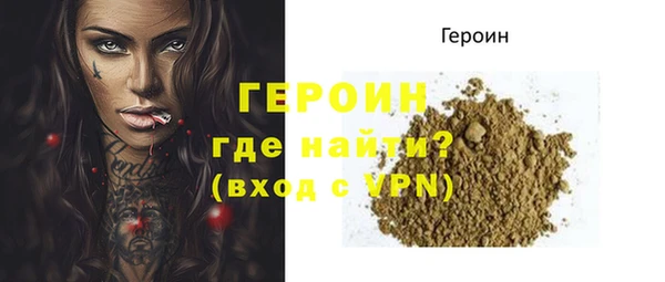 гидра Вяземский