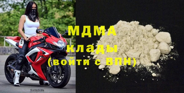 гидра Вяземский