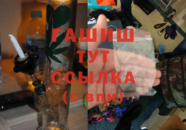 гидра Вяземский