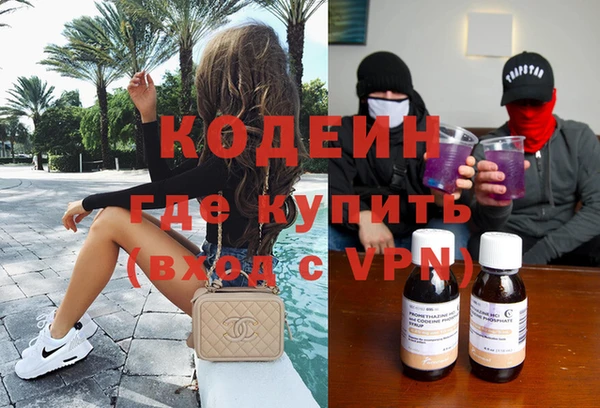 гидра Вяземский