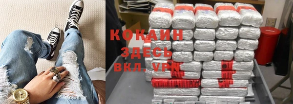 гидра Вяземский