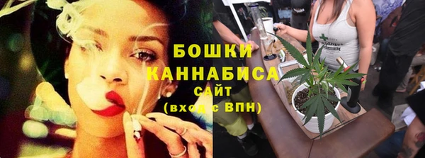 крисы Вязьма