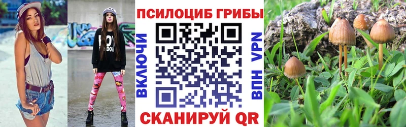 Купить закладки  Краснослободск  Псилоцибиновые грибы Cubensis 